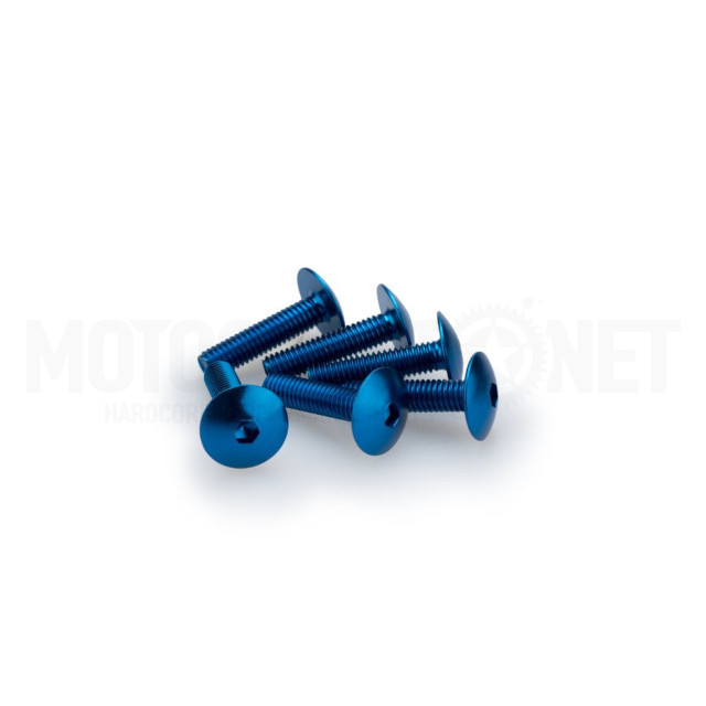 Blister 6 tornillos abombado aluminio anodizado M6X25mm Puig