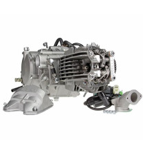 Motor Daytona ANIMA 150cc 4V, Pitbike