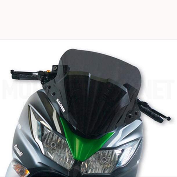 Vidro MHR Kawasaki J 300 ie 4T LC euro3 Malossi