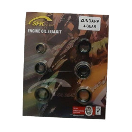 Jogo de vedantes motor completo Zundapp (SD2560)