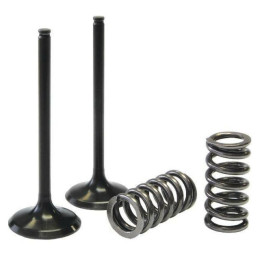 Kit válvulas acero y muelles de escape Yamaha YZ-F 250 / WR-F 250 01-13 / Gas Gas EC 250 F 12-15 ProX