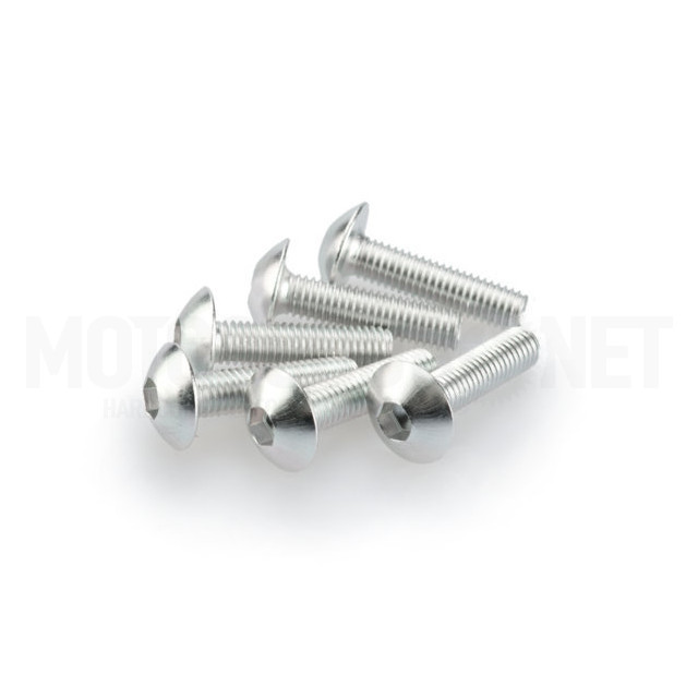 Blister 6 Tornillos abombado aluminio anodizado M5X20mm Puig