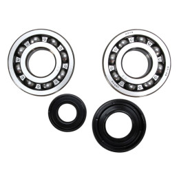 Kit rodamientos y retenes cigüeñal Yamaha YZ 250 01-20 Pro-X