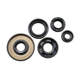 Oil Seal Kit engine Yamaha Pw 50cc Teknix 