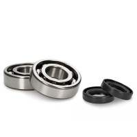 Crankshaft bearing set Peugeot horizontal with oil seals AllPro 